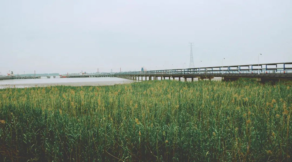 J9����|����վ����